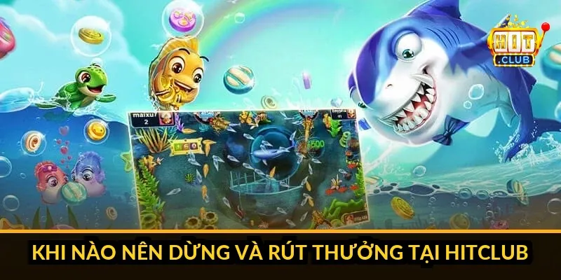 Quản lý đạn và ngân sách